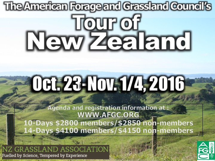 NZ Tour AD